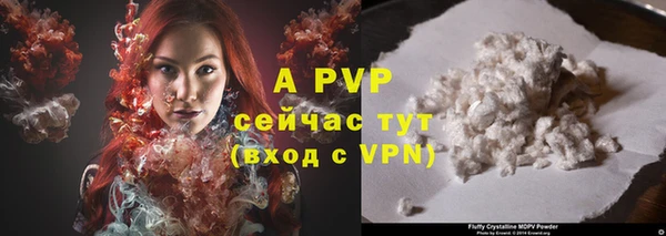 соль ск Алексин