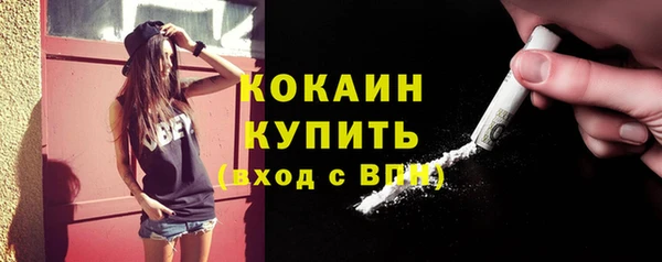 соль ск Алексин