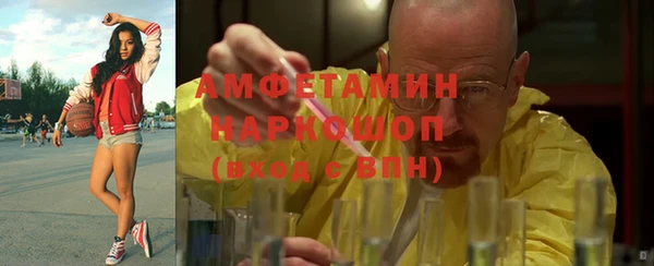 соль ск Алексин