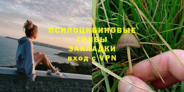 соль ск Алексин
