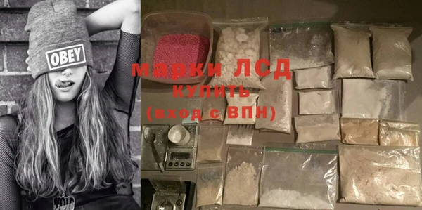 ECSTASY Алзамай
