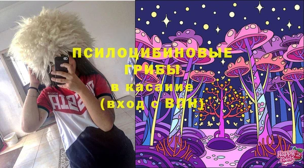 ECSTASY Алзамай