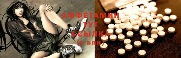 ECSTASY Алзамай