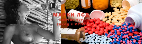 ECSTASY Алзамай