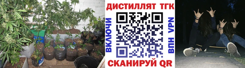 ТГК жижа  сколько стоит  Солигалич 