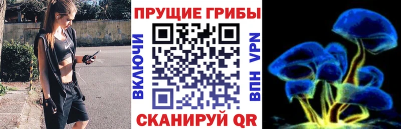 кракен маркетплейс  Солигалич  Псилоцибиновые грибы GOLDEN TEACHER 